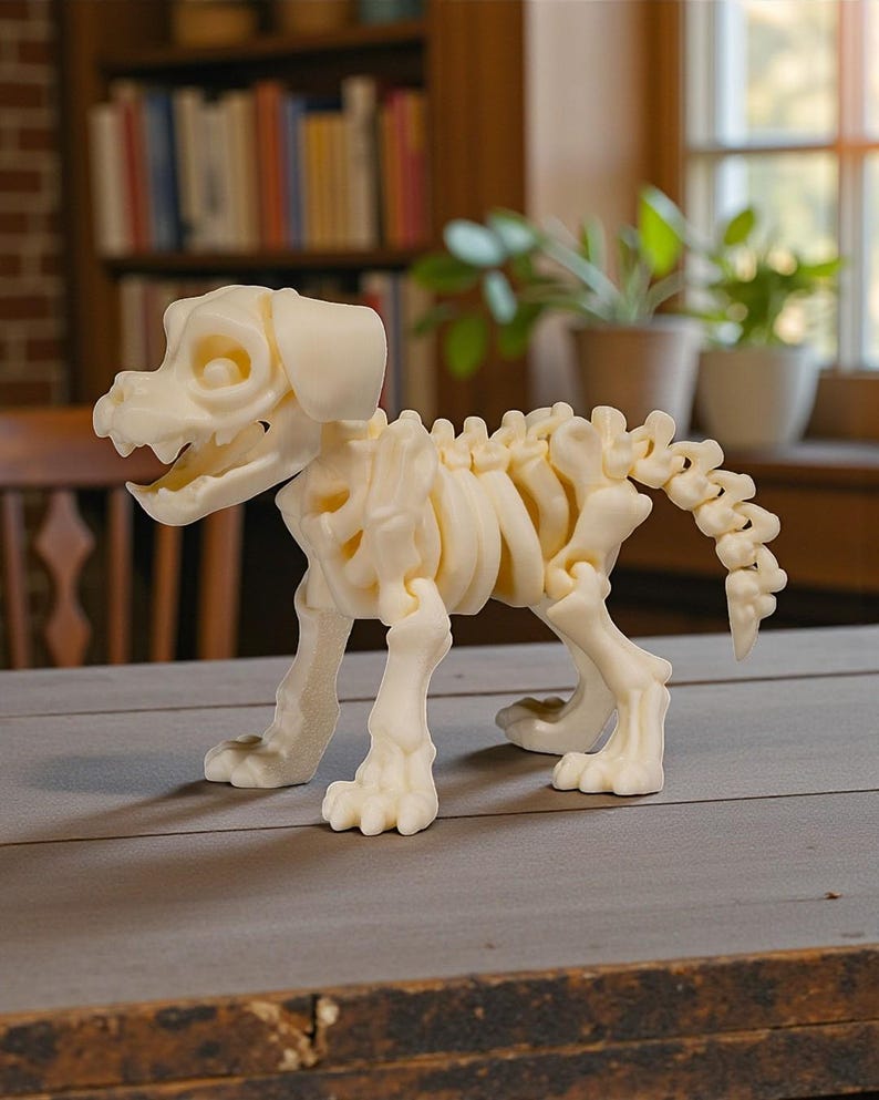 May include: A cream-colored dog skeleton figurine. The articulated model features a detailed skeletal structure, including ribs, spine, and skull. The dog is posed in a standing position, showcasing its paws and tail. A unique decorative item.