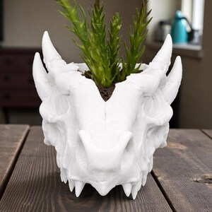 May include: A white dragon head planter with a green plant inside. The planter has horns, a snout, and sharp teeth. The planter is sitting on a wooden table.