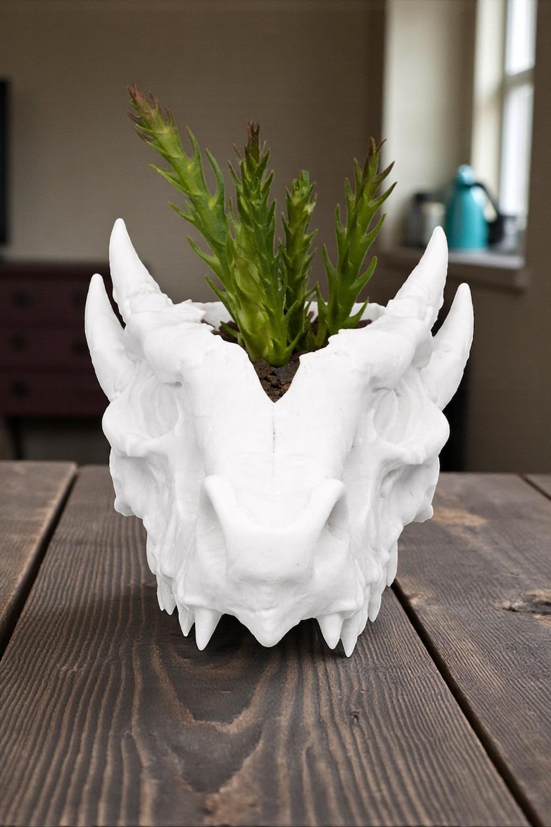 May include: A white dragon head planter with a green plant inside. The planter has horns, a snout, and sharp teeth. The planter is sitting on a wooden table.