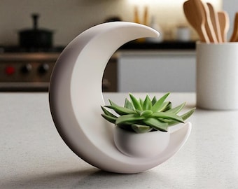 Maceta para suculentas con forma de luna creciente / Maceta con forma de luna / Decoración celestial para el hogar