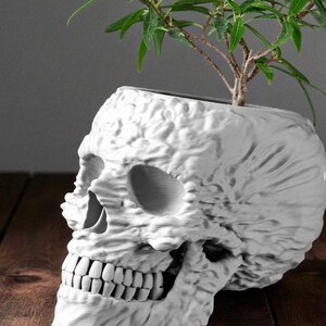 May include: White skull-shaped planter with a textured surface, holding a small green plant. The planter has detailed facial features, including eye sockets, a nose cavity, and teeth. The plant adds a touch of life to the macabre design, creating a unique decorative item.