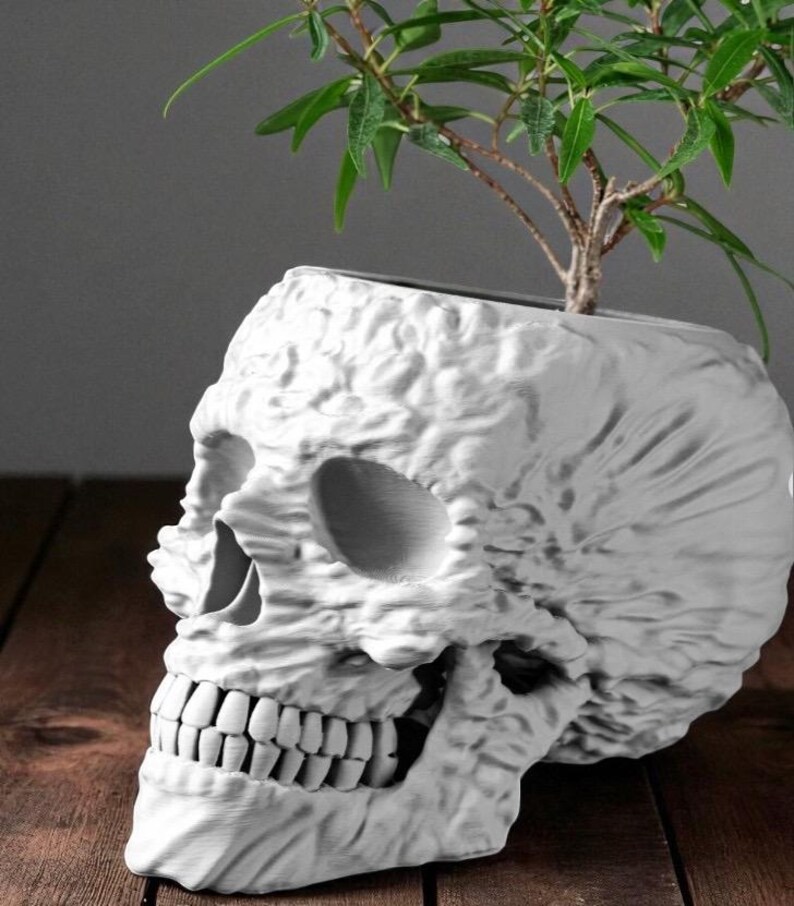 May include: White skull-shaped planter with a textured surface, holding a small green plant. The planter has detailed facial features, including eye sockets, a nose cavity, and teeth. The plant adds a touch of life to the macabre design, creating a unique decorative item.
