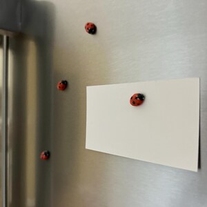 May include: A white card with a red ladybug magnet attached to it is on a stainless steel refrigerator. There are three other ladybug magnets on the refrigerator.
