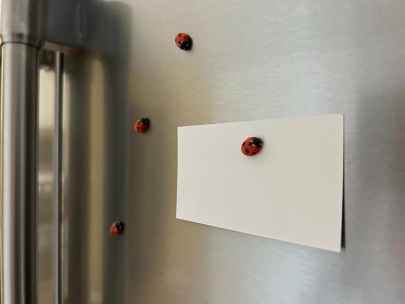 May include: A white card with a red ladybug magnet attached to it is on a stainless steel refrigerator. There are three other ladybug magnets on the refrigerator.