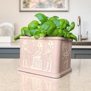 May include: A pink rectangular planter with white Egyptian hieroglyphs and a base, filled with vibrant green basil. The planter is on a countertop in a kitchen setting. The design features pharaohs and other ancient Egyptian symbols.