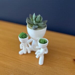 May include: A white ceramic planter shaped like a figure, holding two smaller planters. The main planter holds a succulent, while the smaller ones contain green moss. The figure is on a wooden surface with a dark blue background.