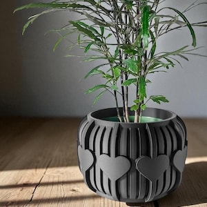 Minimalistische plantenpot met hartpatroon: modern plantendecor