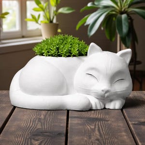 May include: A white ceramic cat-shaped planter, with a sleeping cat design. The planter is filled with green plants. The cat planter is on a dark wooden surface, with a window and plants in the background.