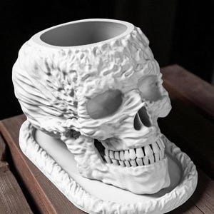 May include: A white skull-shaped planter with a textured surface and a wide opening. The planter sits on a rectangular base with a raised edge. The skull features detailed teeth and eye sockets, creating a gothic or Halloween theme.