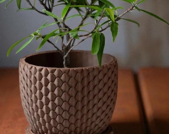 Vaso de escamas de dragão: Vaso para suculentas de fantasia