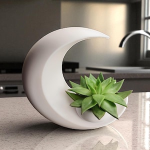 May include: A white, crescent-shaped planter holding a green succulent. The modern design features a smooth, curved form with a small, round opening to house the plant. The planter sits on a speckled countertop.