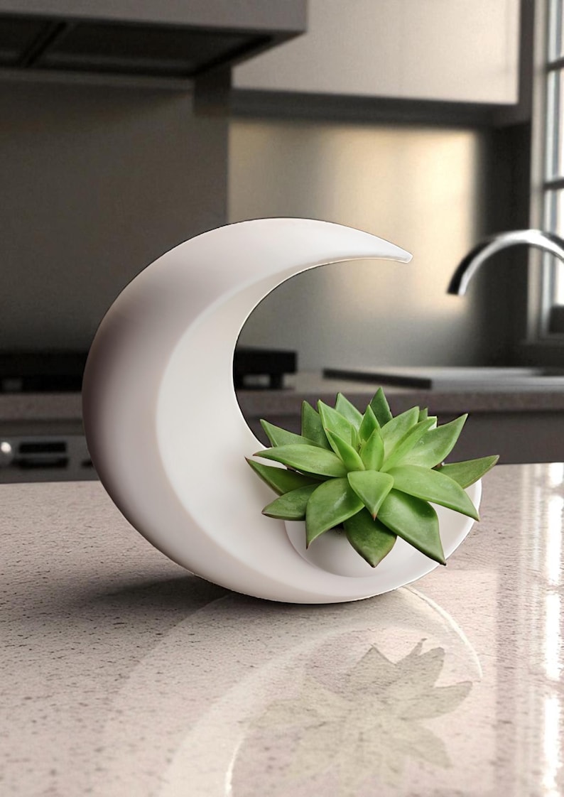 May include: A white, crescent-shaped planter holding a green succulent. The modern design features a smooth, curved form with a small, round opening to house the plant. The planter sits on a speckled countertop.
