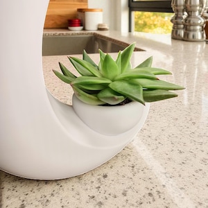 May include: A white, crescent-shaped planter holding a green succulent plant. The planter has a small, round pot for the plant and sits on a speckled countertop. The background includes a kitchen sink, cutting board, and window.