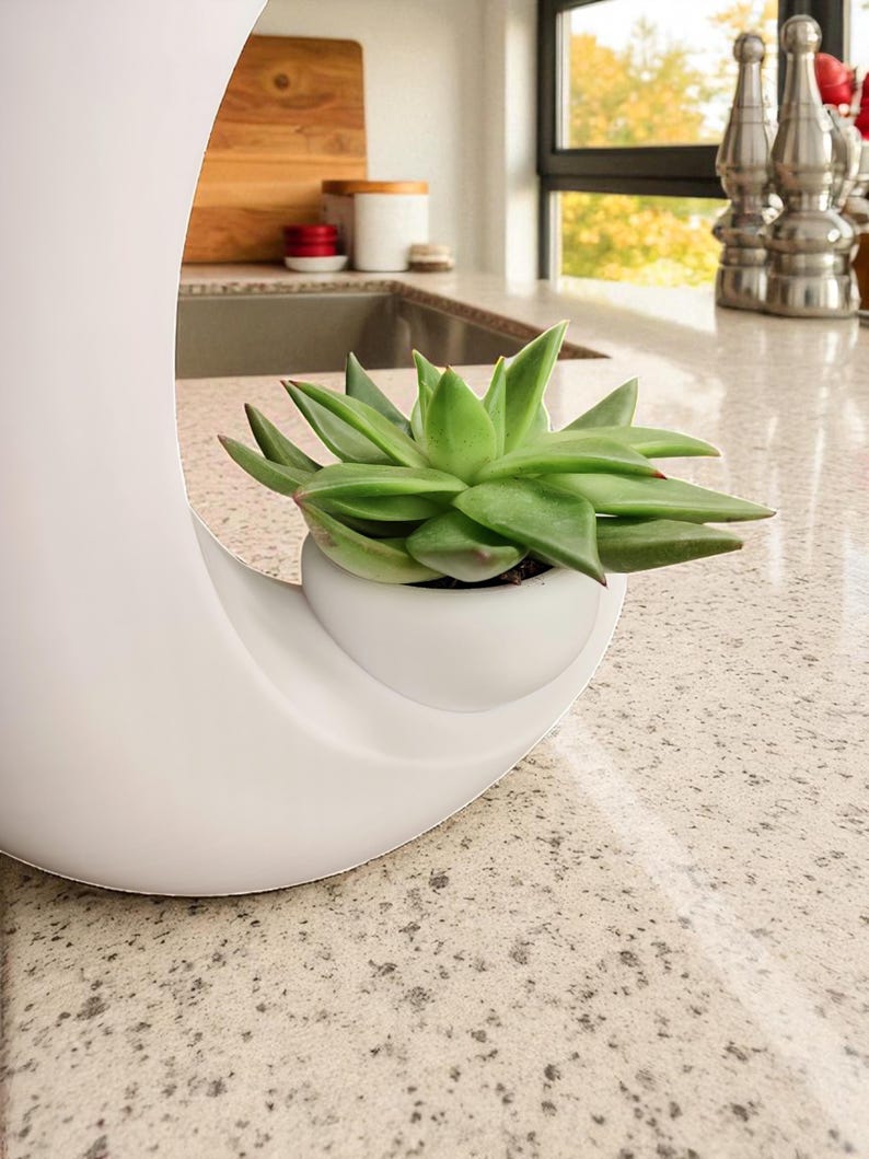 May include: A white, crescent-shaped planter holding a green succulent plant. The planter has a small, round pot for the plant and sits on a speckled countertop. The background includes a kitchen sink, cutting board, and window.