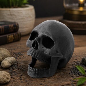 Peut inclure: Un cr&acirc;ne noir mat avec la bouche ouverte est pos&eacute; sur une surface en bois. Le cr&acirc;ne est le point central, avec des d&eacute;tails pr&eacute;cis et une m&acirc;choire l&eacute;g&egrave;rement ouverte. L'arri&egrave;re-plan comprend de petites pierres, une plante et une lampe vintage.