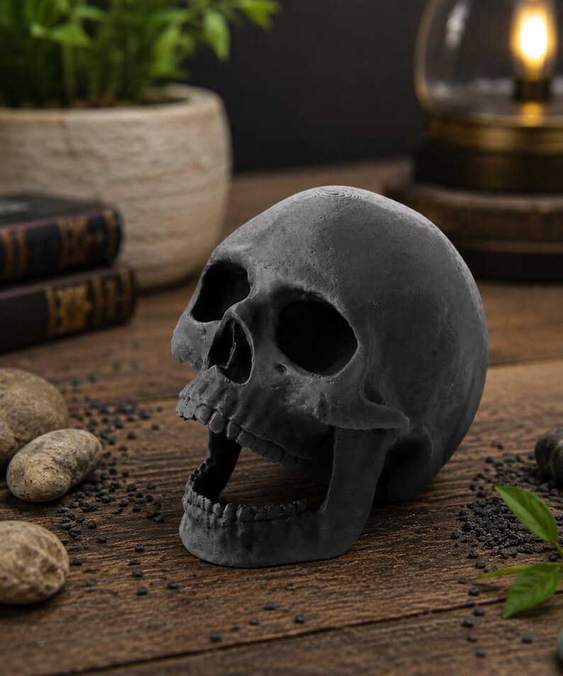 Peut inclure: Un cr&acirc;ne noir mat avec la bouche ouverte est pos&eacute; sur une surface en bois. Le cr&acirc;ne est le point central, avec des d&eacute;tails pr&eacute;cis et une m&acirc;choire l&eacute;g&egrave;rement ouverte. L'arri&egrave;re-plan comprend de petites pierres, une plante et une lampe vintage.