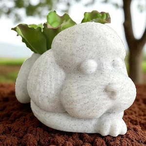 Poodle Succulent Pot | Sleeping Poodle Planter | Cute Poodle Plant Pot