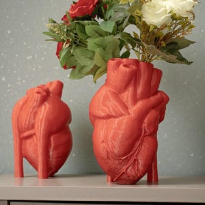 May include: Two red heart-shaped vases, one holding a bouquet of red and white roses with green leaves. The vases are on a gray surface against a speckled blue background. The vases are detailed with anatomical features.