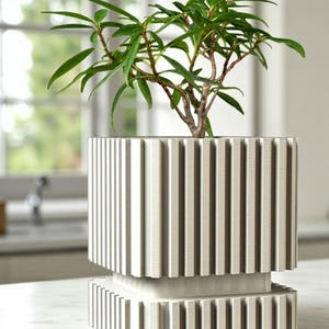 Peut inclure: Un pot de fleurs carré gris clair avec des détails à nervures verticales, contenant une petite plante verte avec de longues feuilles fines. Le pot repose sur une base assortie, créant une esthétique moderne et minimaliste. La plante ajoute une touche de nature.