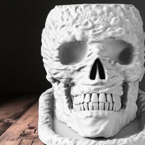May include: A white skull-shaped planter with detailed facial features, including eye sockets, a nasal cavity, and teeth. The planter sits on a matching base, perfect for Halloween or gothic decor.