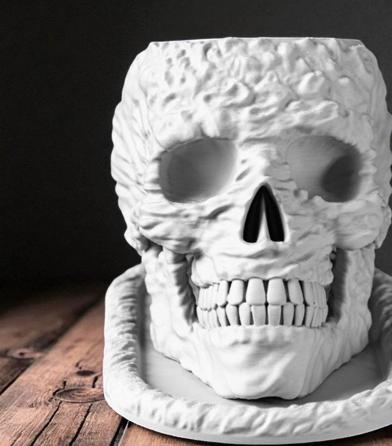 May include: A white skull-shaped planter with detailed facial features, including eye sockets, a nasal cavity, and teeth. The planter sits on a matching base, perfect for Halloween or gothic decor.