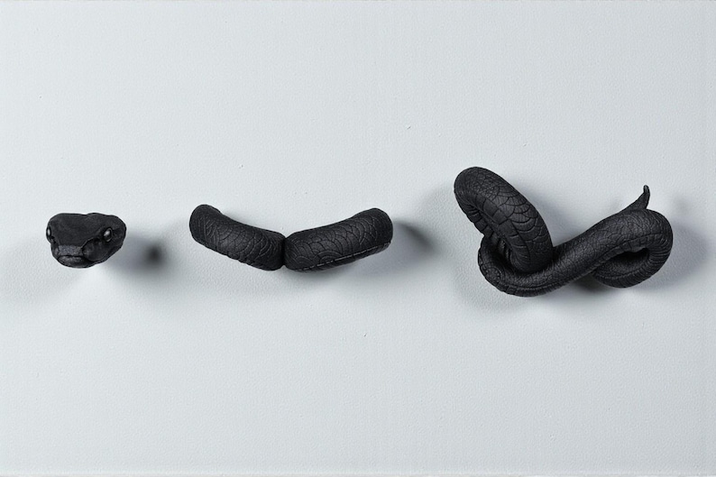May include: A black snake sculpture in three parts against a white background. The snake's head, body segments, and coiled tail are visible. The snake's skin has a textured pattern.