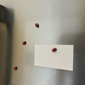 May include: A white card with a red and black ladybug magnet attached to it. The card is on a stainless steel refrigerator with four other ladybug magnets.