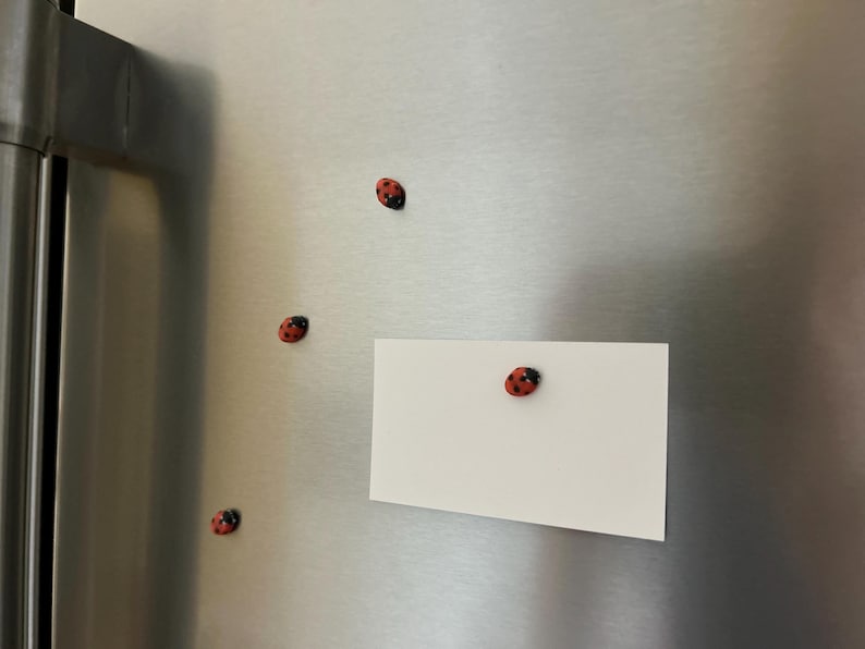 May include: A white card with a red and black ladybug magnet attached to it. The card is on a stainless steel refrigerator with four other ladybug magnets.