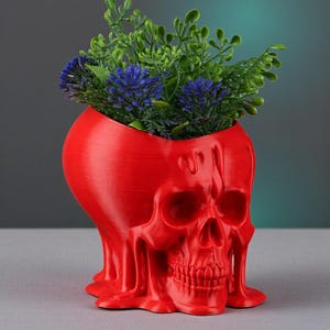 May include: A vibrant red skull-shaped planter filled with greenery and blue flowers. The planter has a detailed skull design and is made of a solid material. The plant pot is a unique decorative item.