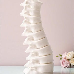 May include: A white ceramic sculpture of a human spine. The spine is detailed with individual vertebrae and is slightly curved. The sculpture is set against a soft pink background with a small bouquet of roses.