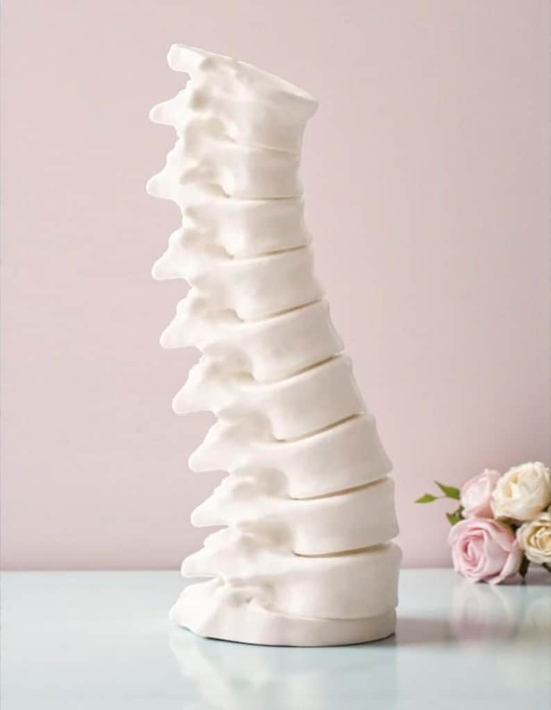 May include: A white ceramic sculpture of a human spine. The spine is detailed with individual vertebrae and is slightly curved. The sculpture is set against a soft pink background with a small bouquet of roses.