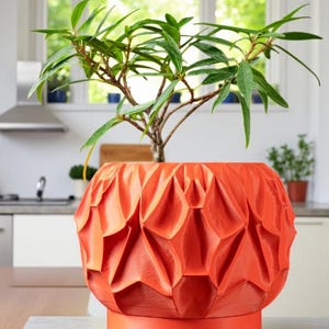 Könnte beinhalten: Ein orangefarbener Pflanzentopf mit strukturiertem, geometrischem Muster, der eine kleine grüne Pflanze enthält. Der Topf steht auf einem passenden orangefarbenen Sockel. Die Pflanze hat lange, grüne Blätter und dünne Zweige. Der Hintergrund ist eine Küche.