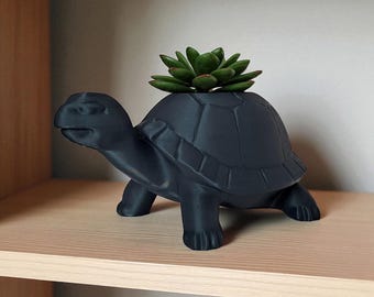 Maceta/estante decorativo con suculentas de tortuga caprichosa