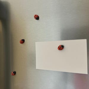 May include: A white card with a red and black ladybug magnet attached to it. The card is on a stainless steel refrigerator with three other ladybug magnets.