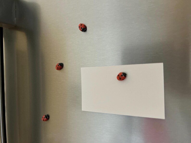 May include: A white card with a red and black ladybug magnet attached to it. The card is on a stainless steel refrigerator with three other ladybug magnets.
