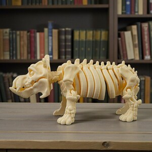 May include: A cream-colored, 3D-printed hippopotamus skeleton model. The model is detailed, showing the skull, ribs, spine, and leg bones. It stands on a wooden surface, with a blurred bookshelf background.