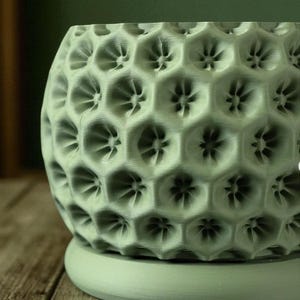 May include: A sage green, textured ceramic planter with a honeycomb pattern. The planter has a round base and a cylindrical body with a repeating hexagonal design. The interior of each hexagon features a floral-like detail.