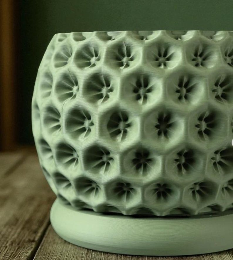 May include: A sage green, textured ceramic planter with a honeycomb pattern. The planter has a round base and a cylindrical body with a repeating hexagonal design. The interior of each hexagon features a floral-like detail.