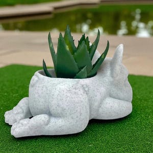 May include: A speckled white ceramic planter shaped like a reclining bulldog, with a green succulent plant inside. The planter has a textured finish and is set on a green surface.