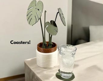 Magnetic Monstera Plant Coasters: Cottagecore Coffee Table Decor
