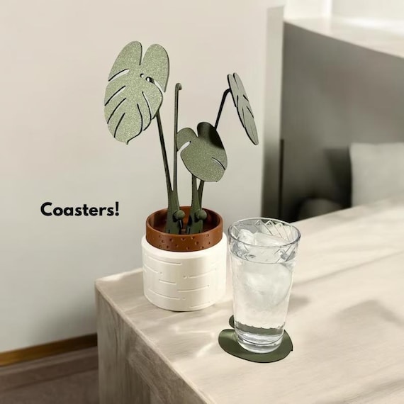 philodendron malay gold standort Malay Gold Philodendron – Baton Rouge Succulent Co main image 1
