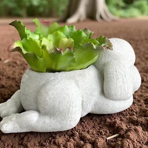 May include: A white, speckled concrete planter shaped like a reclining figure, holding a vibrant green succulent with red-tinged edges. The planter is set on brown soil, with a blurred tree in the background.