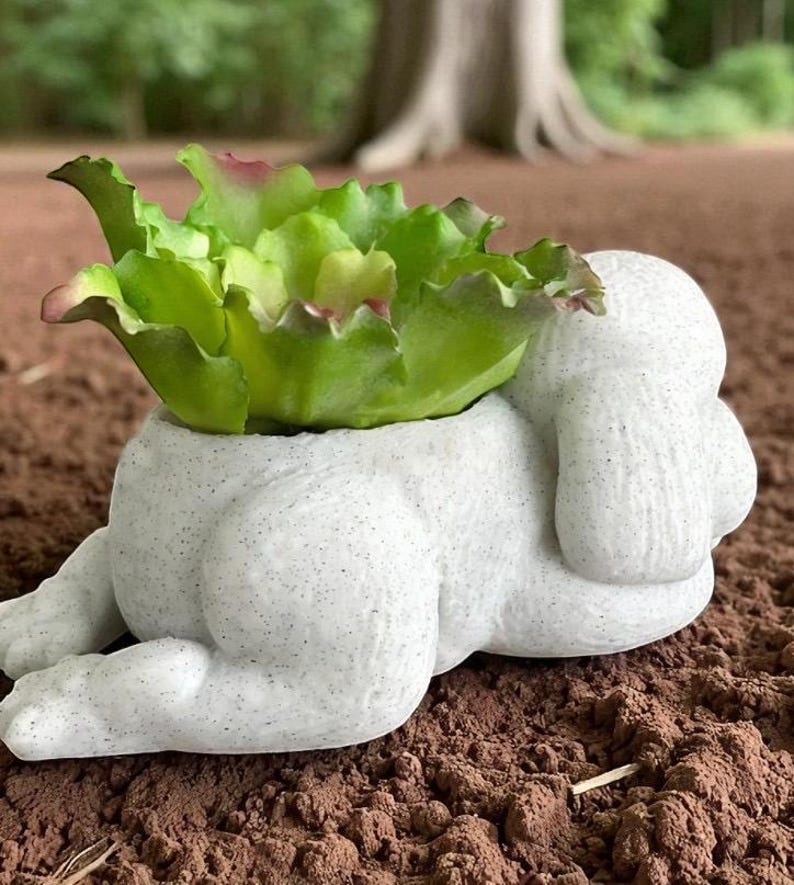 May include: A white, speckled concrete planter shaped like a reclining figure, holding a vibrant green succulent with red-tinged edges. The planter is set on brown soil, with a blurred tree in the background.