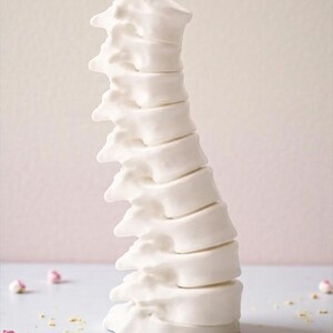 May include: A white, ceramic spine sculpture. The anatomical model is a detailed representation of the human vertebral column. Small pink and white floral accents are scattered around the base of the sculpture.