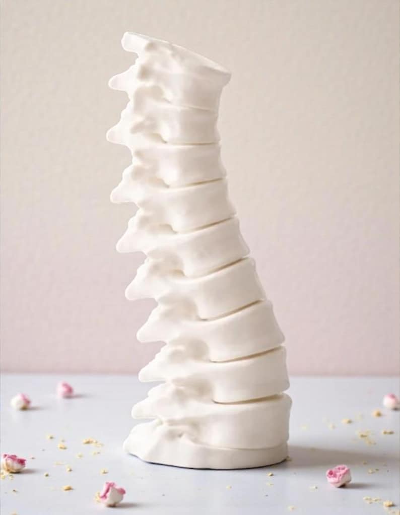 May include: A white, ceramic spine sculpture. The anatomical model is a detailed representation of the human vertebral column. Small pink and white floral accents are scattered around the base of the sculpture.