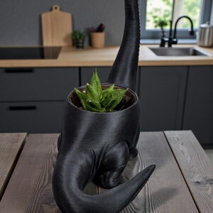 May include: A black dinosaur-shaped plant pot containing a green succulent. The pot is made of a textured material and is on a wooden table. The background shows a kitchen with dark cabinets and a window.