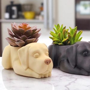 Könnte beinhalten: Zwei hundeformige Pflanzgefäße, eines cremefarben und eines dunkelgrau, die jeweils eine Sukkulentenpflanze enthalten. Der cremefarbene Pflanztopf hat eine braune Nase und ist mit einer rötlich-braunen Sukkulente gefüllt. Der graue Topf enthält eine grüne Sukkulente.