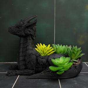 May include: A black dragon-shaped planter holding several green and yellow succulents. The dragon is in a resting position, with its head raised and detailed scales. The planter is on a dark tiled surface.