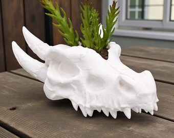 Maceta con forma de calavera de dragón / Decoración gótica fantástica