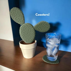 Magnetic Cactus Coaster Set: Quirky Plant Coasters image 1